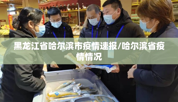 黑龙江省哈尔滨市疫情速报/哈尔滨省疫情情况 黑龙江省哈尔滨市疫情速报/哈尔滨省疫情情况