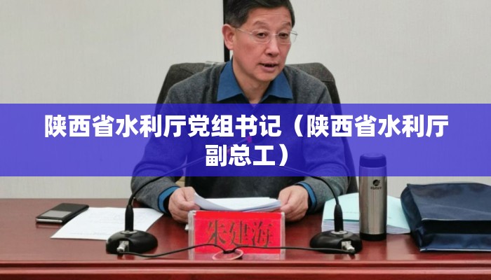 陕西省水利厅党组书记（陕西省水利厅副总工）