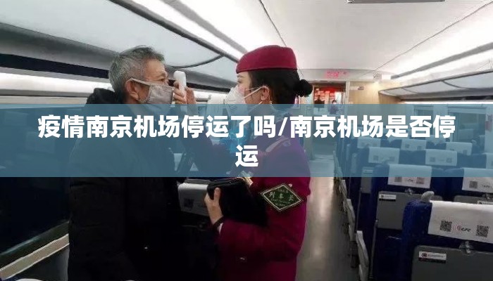 疫情南京机场停运了吗/南京机场是否停运 疫情南京机场停运了吗/南京机场是否停运