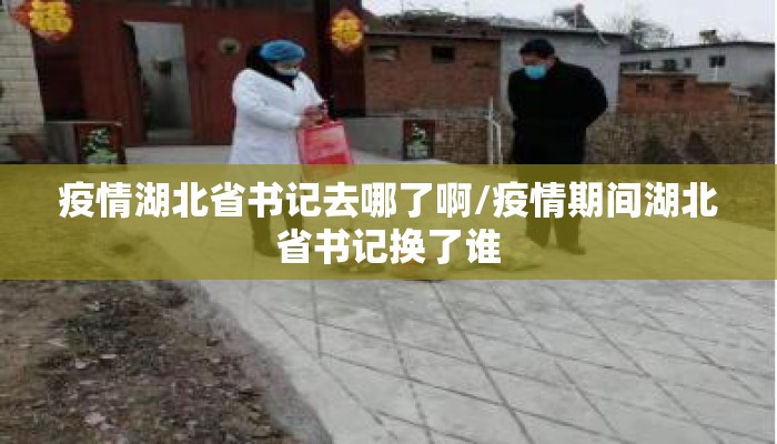 疫情湖北省书记去哪了啊/疫情期间湖北省书记换了谁