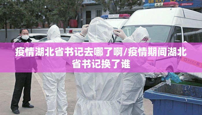 疫情湖北省书记去哪了啊/疫情期间湖北省书记换了谁 疫情湖北省书记去哪了啊/疫情期间湖北省书记换了谁