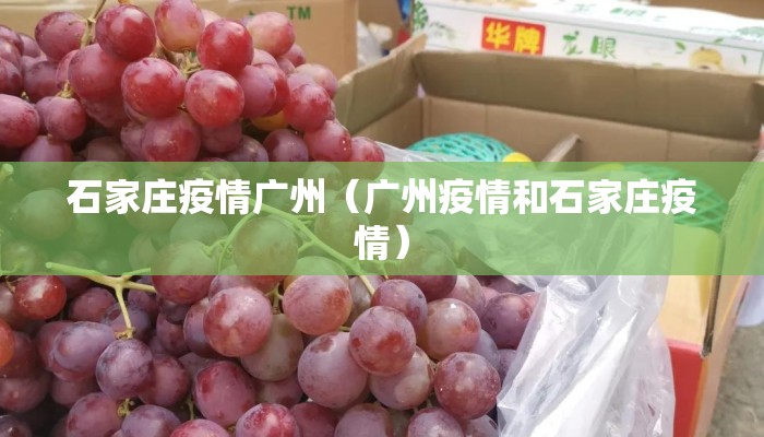 石家庄疫情广州(广州疫情和石家庄疫情) 石家庄疫情广州(广州疫情和石家庄疫情)