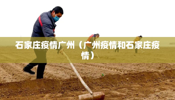 石家庄疫情广州(广州疫情和石家庄疫情) 石家庄疫情广州(广州疫情和石家庄疫情)