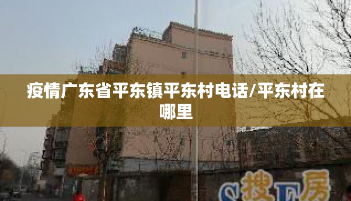 疫情广东省平东镇平东村电话/平东村在哪里