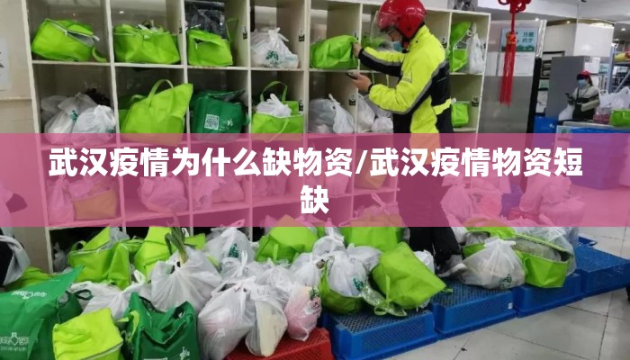 武汉疫情为什么缺物资/武汉疫情物资短缺
