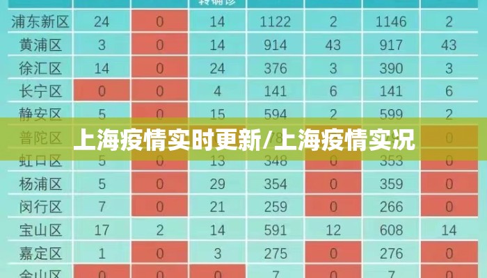 上海疫情实时更新/上海疫情实况