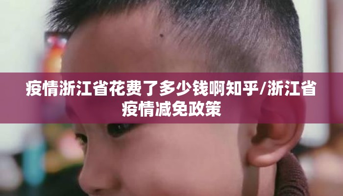 疫情浙江省花费了多少钱啊知乎/浙江省疫情减免政策