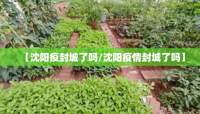 【沈阳疫封城了吗/沈阳疫情封城了吗】 【沈阳疫封城了吗/沈阳疫情封城了吗】