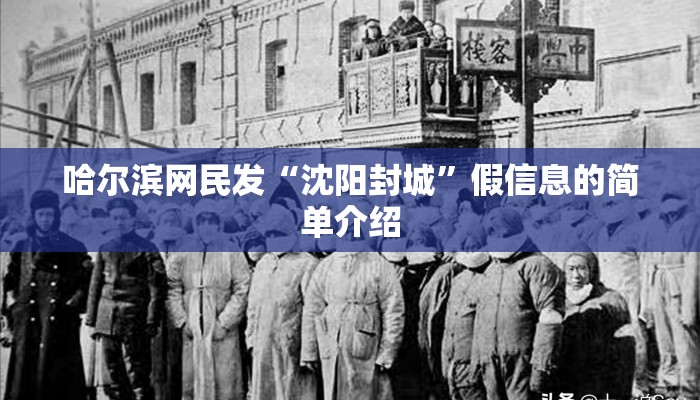 哈尔滨网民发“沈阳封城”假信息的简单介绍