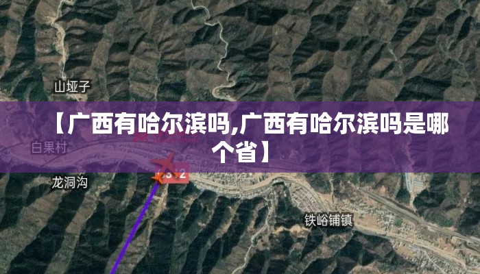 【广西有哈尔滨吗,广西有哈尔滨吗是哪个省】 【广西有哈尔滨吗,广西有哈尔滨吗是哪个省】
