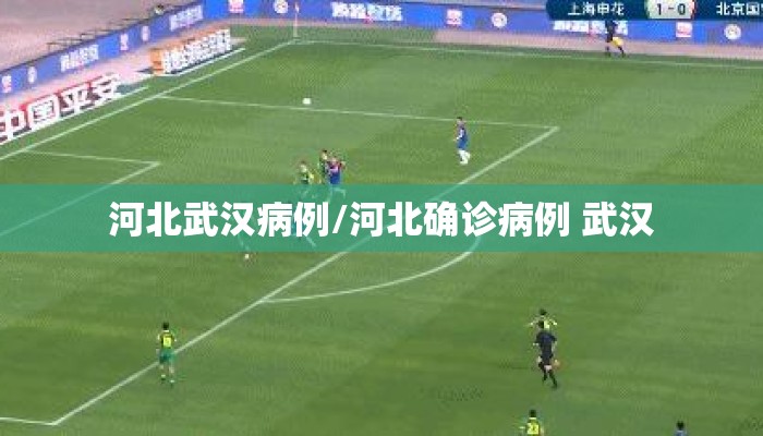 河北武汉病例/河北确诊病例 武汉