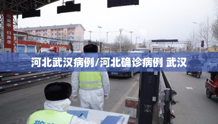河北武汉病例/河北确诊病例 武汉 河北武汉病例/河北确诊病例 武汉
