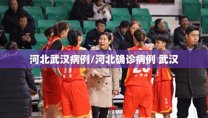 河北武汉病例/河北确诊病例 武汉 河北武汉病例/河北确诊病例 武汉