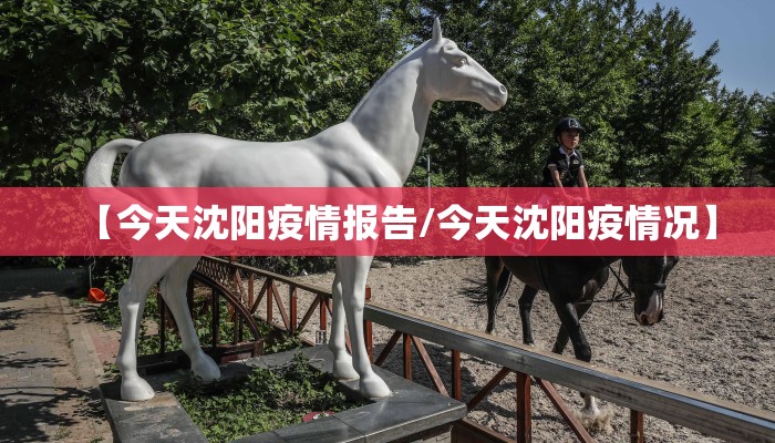 【今天沈阳疫情报告/今天沈阳疫情况】 【今天沈阳疫情报告/今天沈阳疫情况】