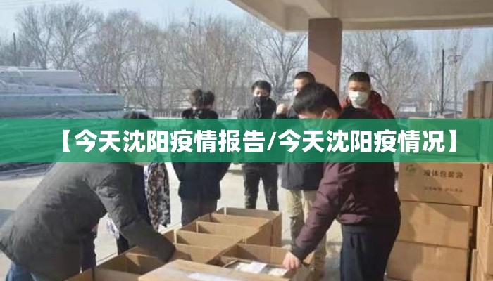 【今天沈阳疫情报告/今天沈阳疫情况】 【今天沈阳疫情报告/今天沈阳疫情况】