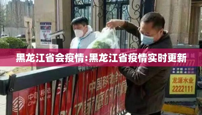 黑龙江省会疫情:黑龙江省疫情实时更新
