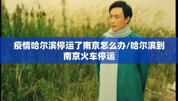 疫情哈尔滨停运了南京怎么办/哈尔滨到南京火车停运 疫情哈尔滨停运了南京怎么办/哈尔滨到南京火车停运