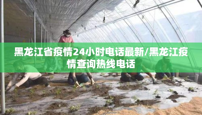黑龙江省疫情24小时电话最新/黑龙江疫情查询热线电话 黑龙江省疫情24小时电话最新/黑龙江疫情查询热线电话