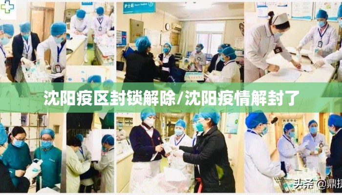 沈阳疫区封锁解除/沈阳疫情解封了 沈阳疫区封锁解除/沈阳疫情解封了