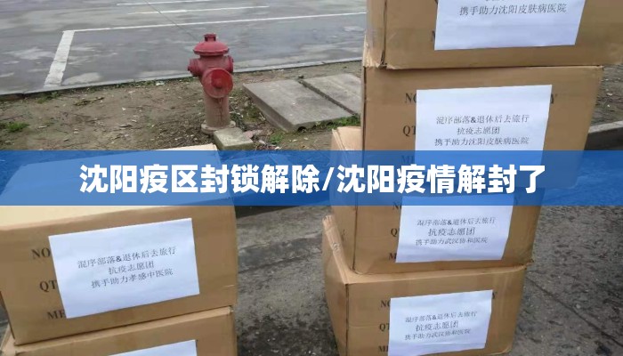 沈阳疫区封锁解除/沈阳疫情解封了 沈阳疫区封锁解除/沈阳疫情解封了