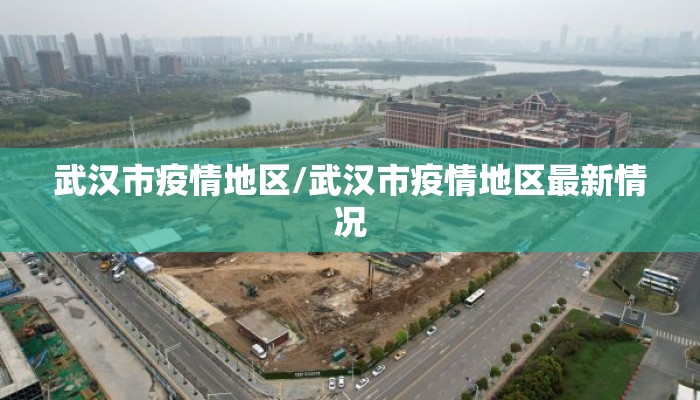 武汉市疫情地区/武汉市疫情地区最新情况