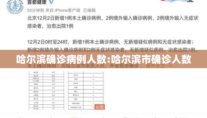 哈尔滨确诊病例人数:哈尔滨市确诊人数
