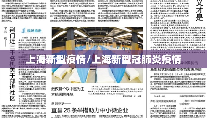 上海新型疫情/上海新型冠肺炎疫情 上海新型疫情/上海新型冠肺炎疫情