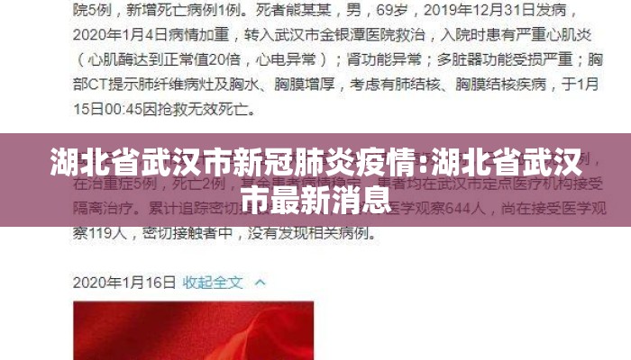 湖北省武汉市新冠肺炎疫情:湖北省武汉市最新消息 湖北省武汉市新冠肺炎疫情:湖北省武汉市最新消息