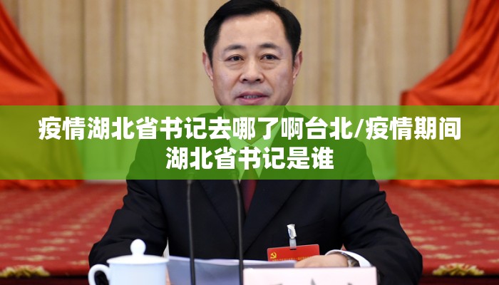 疫情湖北省书记去哪了啊台北/疫情期间湖北省书记是谁 疫情湖北省书记去哪了啊台北/疫情期间湖北省书记是谁