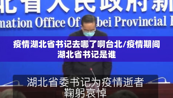 疫情湖北省书记去哪了啊台北/疫情期间湖北省书记是谁