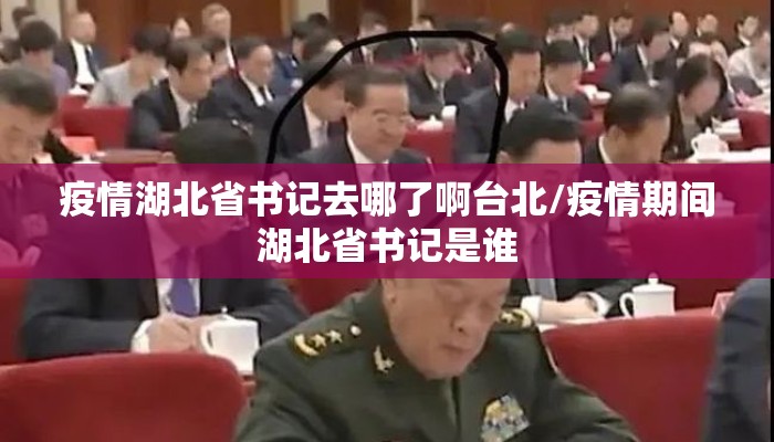 疫情湖北省书记去哪了啊台北/疫情期间湖北省书记是谁 疫情湖北省书记去哪了啊台北/疫情期间湖北省书记是谁