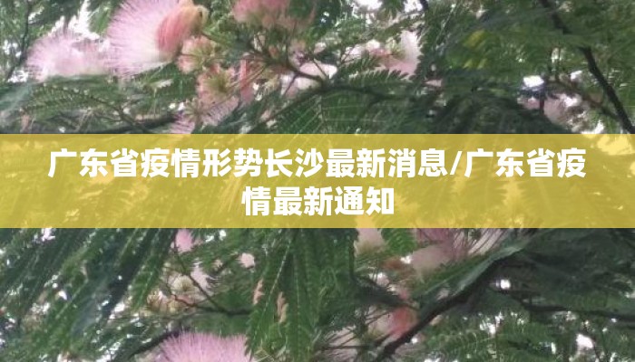 广东省疫情形势长沙最新消息/广东省疫情最新通知