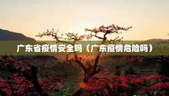 广东省疫情安全吗（广东疫情危险吗）