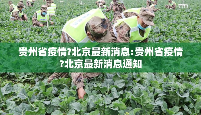 贵州省疫情?北京最新消息:贵州省疫情?北京最新消息通知