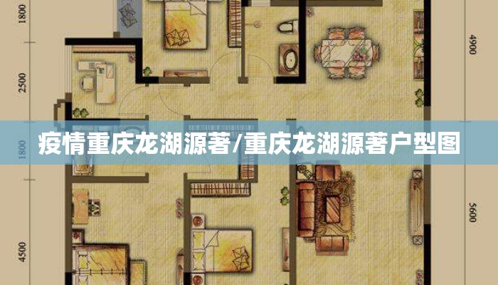 疫情重庆龙湖源著/重庆龙湖源著户型图