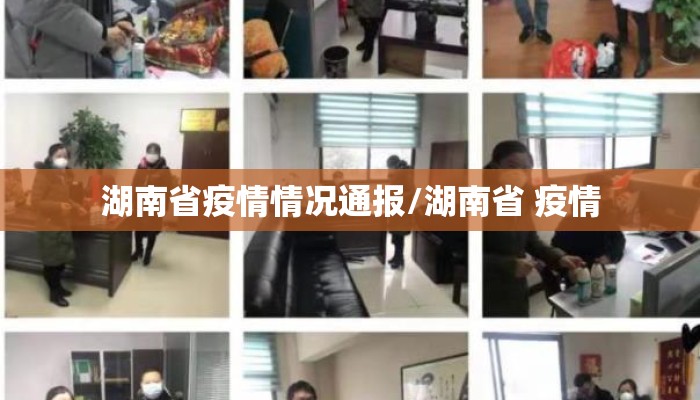 湖南省疫情情况通报/湖南省 疫情 湖南省疫情情况通报/湖南省 疫情