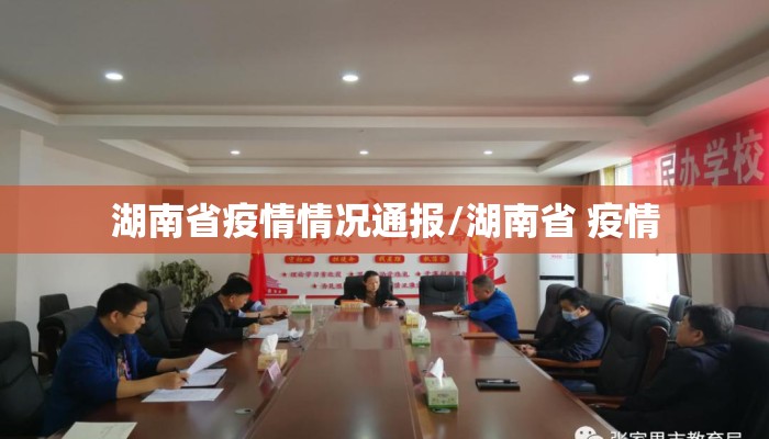 湖南省疫情情况通报/湖南省 疫情