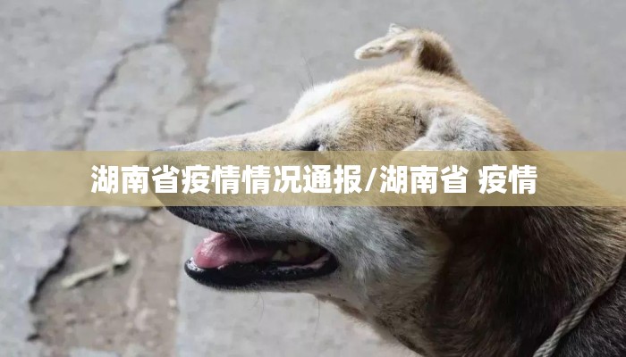 湖南省疫情情况通报/湖南省 疫情 湖南省疫情情况通报/湖南省 疫情