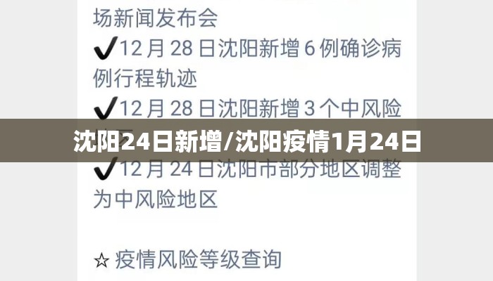 沈阳24日新增/沈阳疫情1月24日