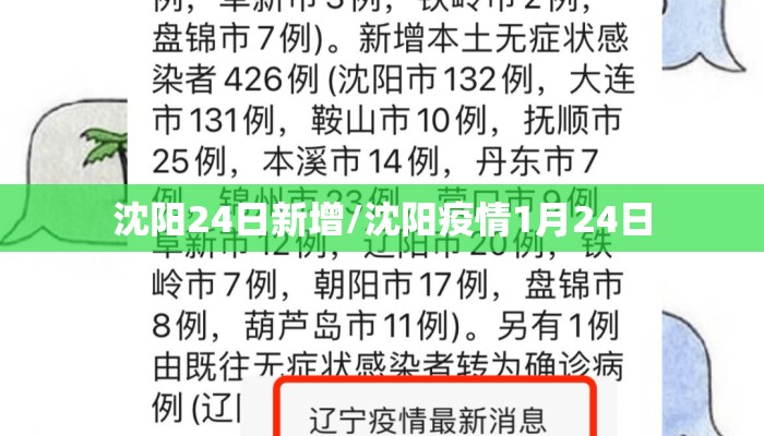 沈阳24日新增/沈阳疫情1月24日 沈阳24日新增/沈阳疫情1月24日