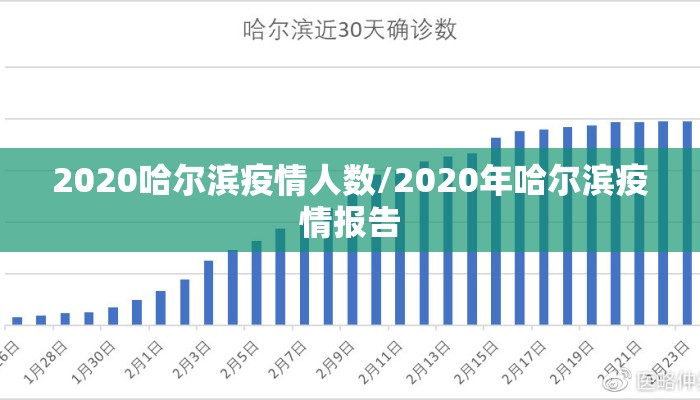 2020哈尔滨疫情人数/2020年哈尔滨疫情报告 2020哈尔滨疫情人数/2020年哈尔滨疫情报告