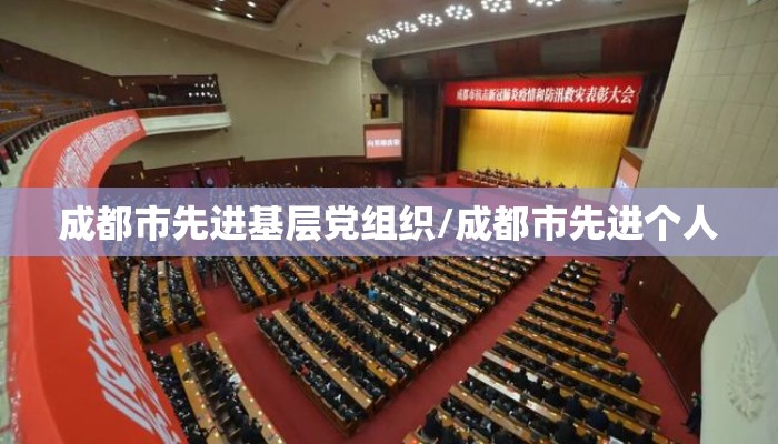 成都市先进基层党组织/成都市先进个人 成都市先进基层党组织/成都市先进个人