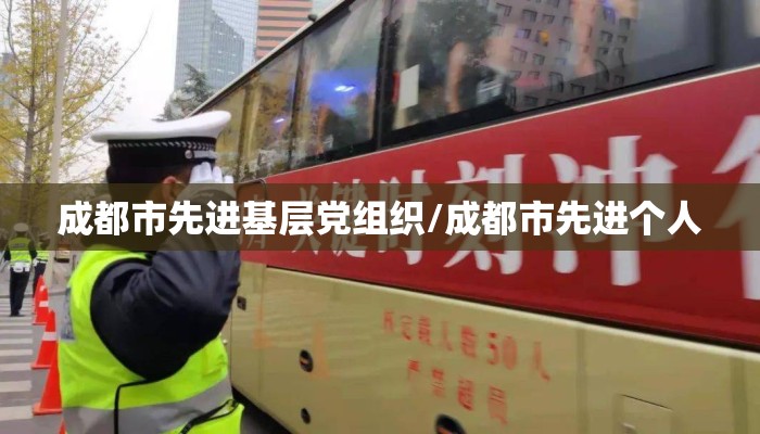 成都市先进基层党组织/成都市先进个人 成都市先进基层党组织/成都市先进个人