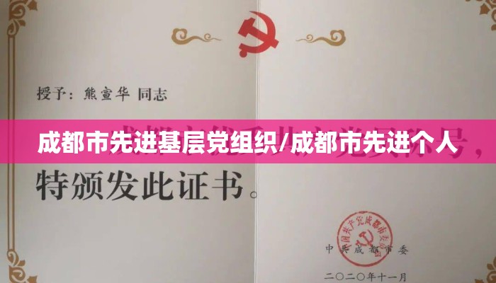 成都市先进基层党组织/成都市先进个人 成都市先进基层党组织/成都市先进个人