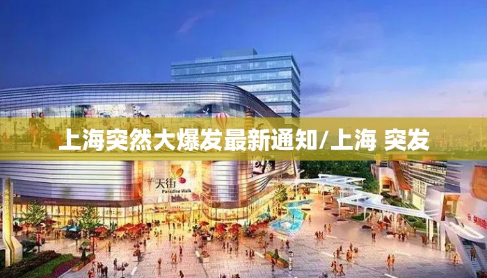 上海突然大爆发最新通知/上海 突发