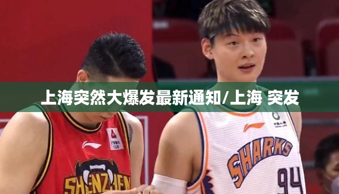 上海突然大爆发最新通知/上海 突发 上海突然大爆发最新通知/上海 突发