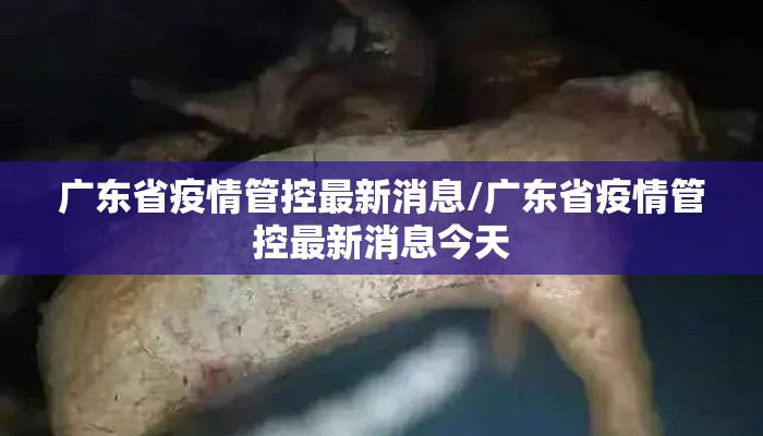 广东省疫情管控最新消息/广东省疫情管控最新消息今天 广东省疫情管控最新消息/广东省疫情管控最新消息今天