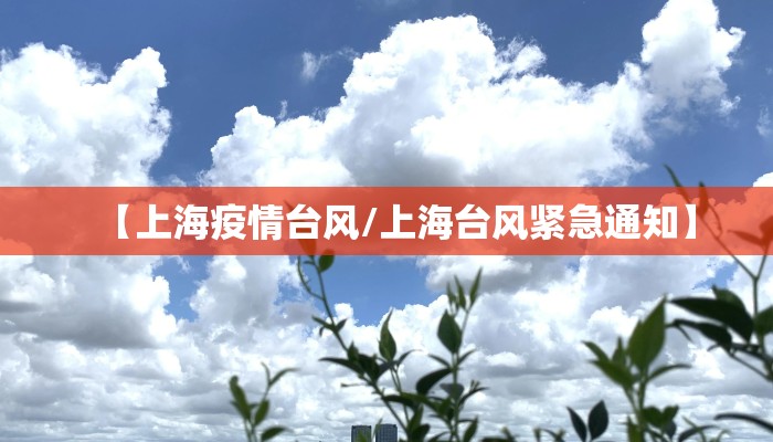 【上海疫情台风/上海台风紧急通知】