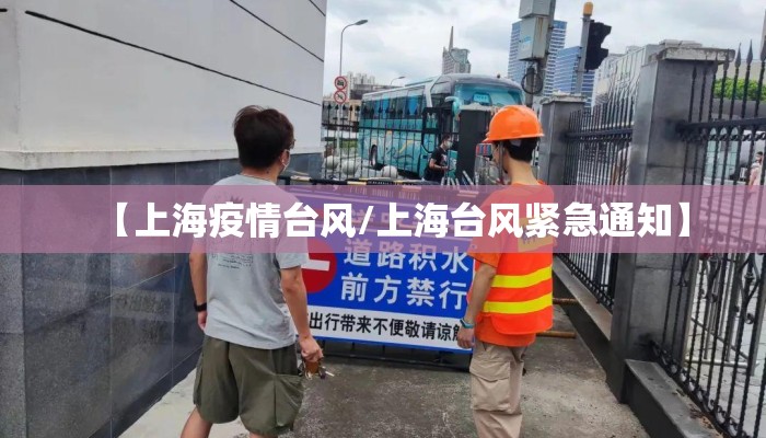 【上海疫情台风/上海台风紧急通知】 【上海疫情台风/上海台风紧急通知】