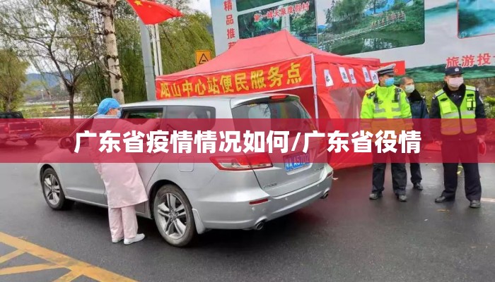 广东省疫情情况如何/广东省役情